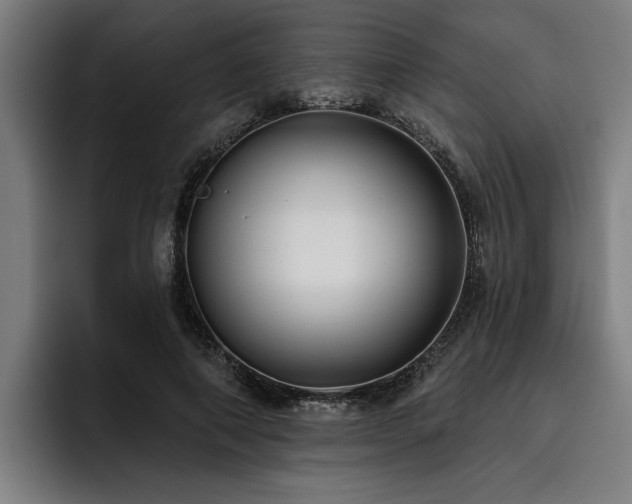 X0000093500690200710121513