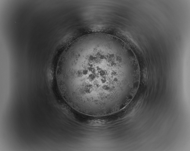 X0000093500691200710121513
