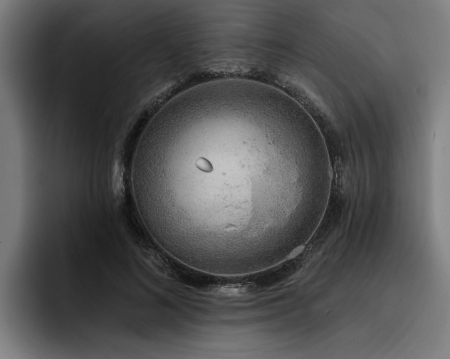 X0000093500692200710121513