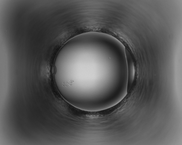 X0000093500693200710121513