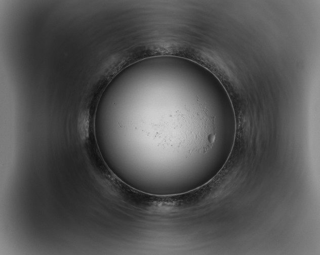 X0000093500694200710121513