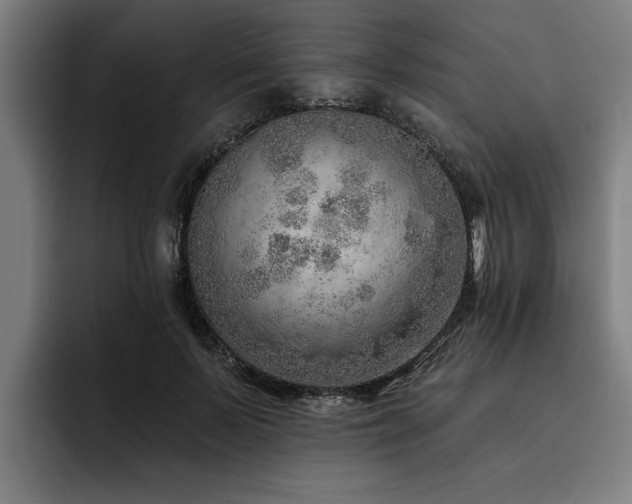 X0000093500695200710121513