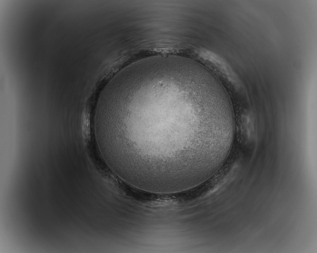 X0000093500696200710121513
