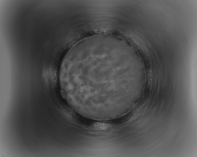 X0000093500699200710121513