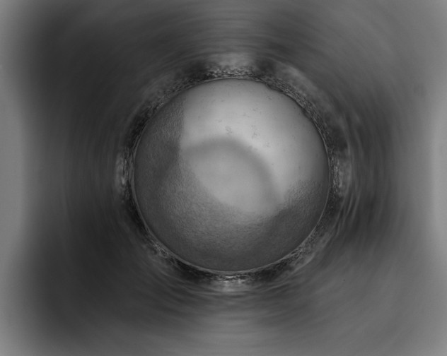 X0000093500701200710121513
