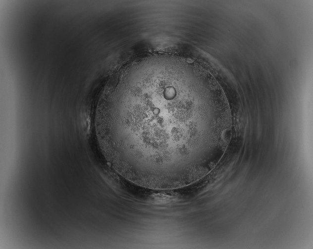 X0000093500703200710121513