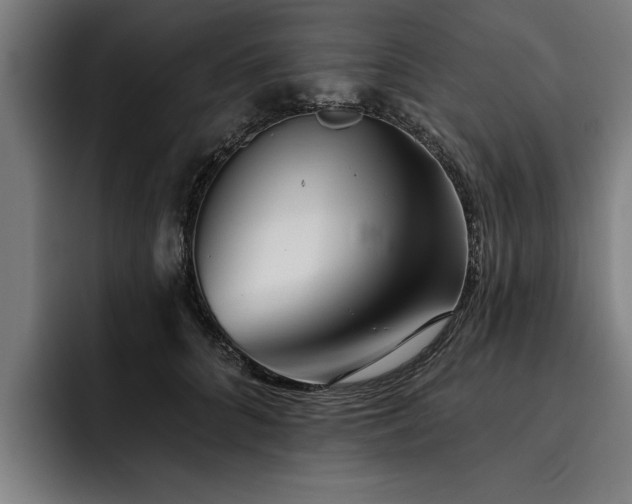 X0000093500704200710121513