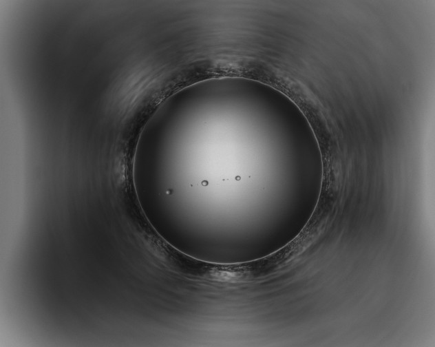 X0000093500706200710121513