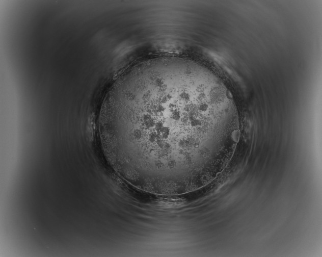 X0000093500707200710121513