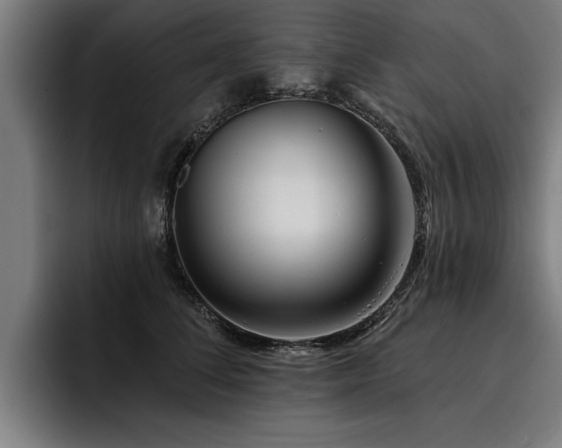 X0000093500708200710121513