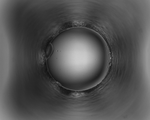X0000093500712200710121513
