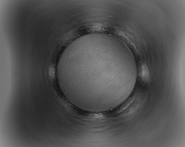 X0000093500715200710121513