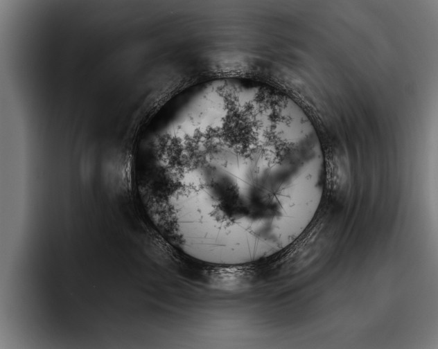 X0000093500717200710121513
