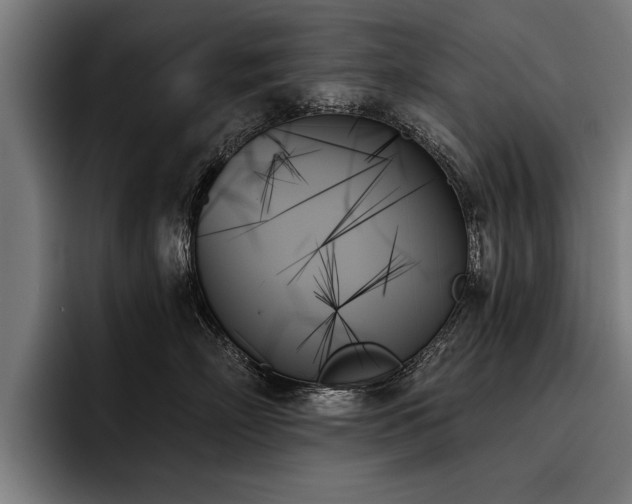 X0000093500718200710121513
