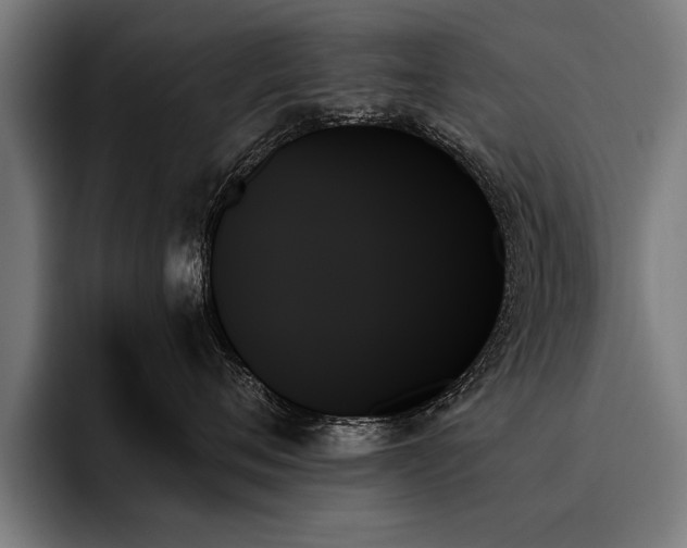 X0000093500720200710121513
