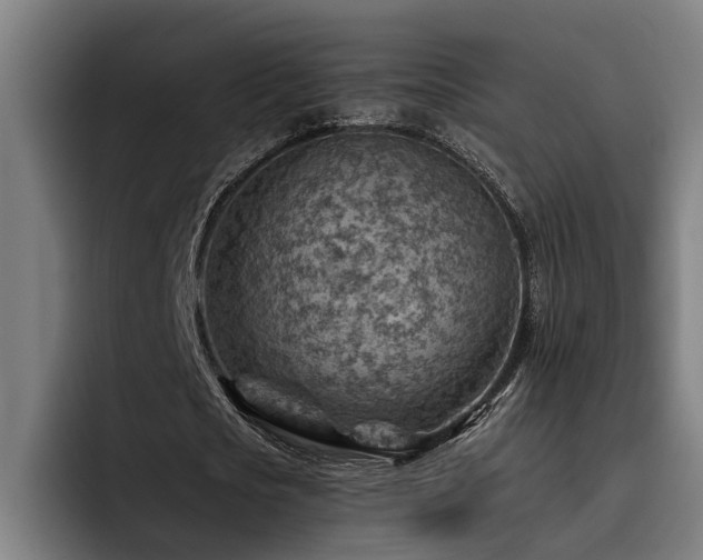 X0000093500721200710121512