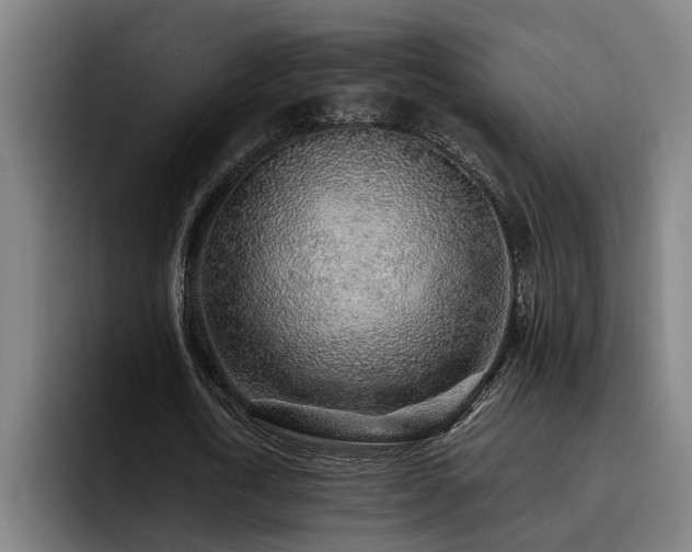 X0000093500722200710121512