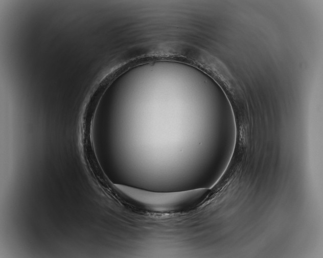X0000093500724200710121513