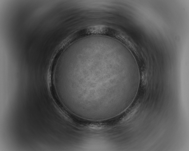 X0000093500725200710121513