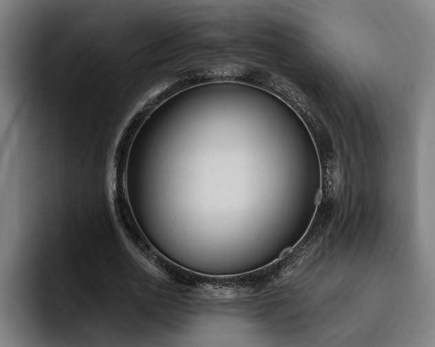 X0000093500726200710121513