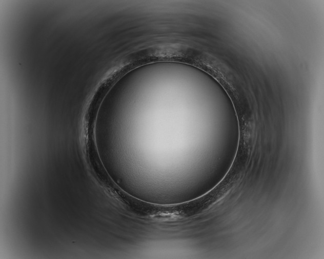 X0000093500727200710121513