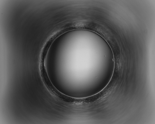 X0000093500728200710121513
