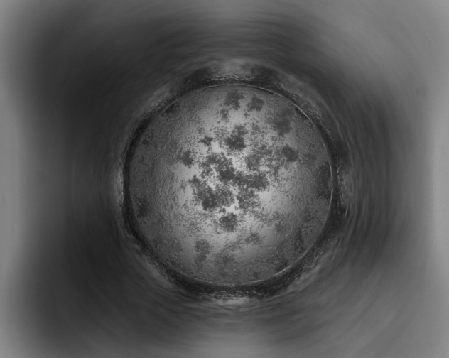 X0000093500729200710121513