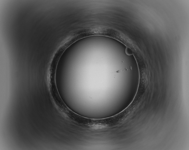 X0000093500730200710121513