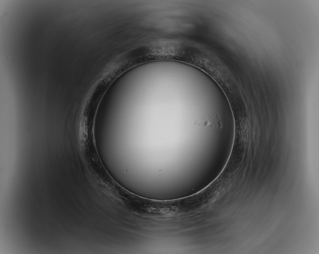 X0000093500731200710121513