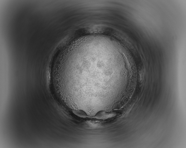X0000093500733200710121513