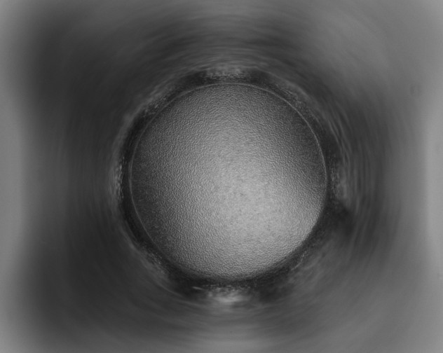 X0000093500735200710121513