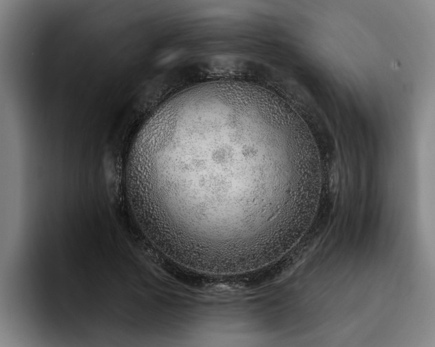 X0000093500737200710121513