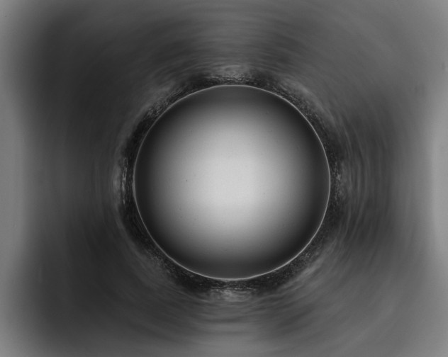 X0000093500739200710121513