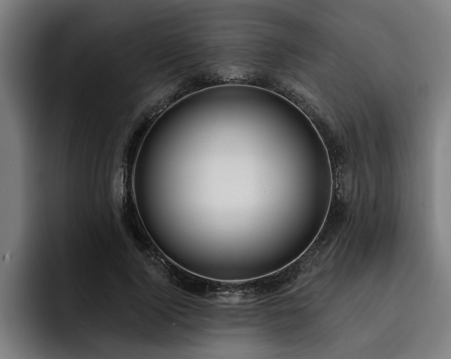 X0000093500740200710121513