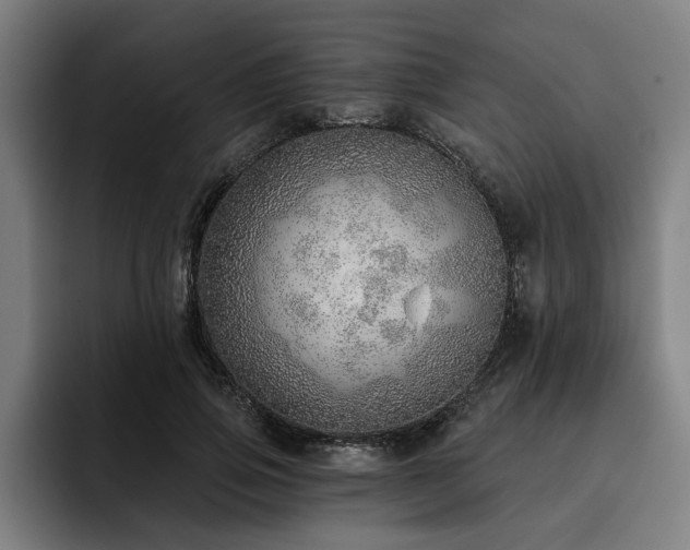 X0000093500741200710121513