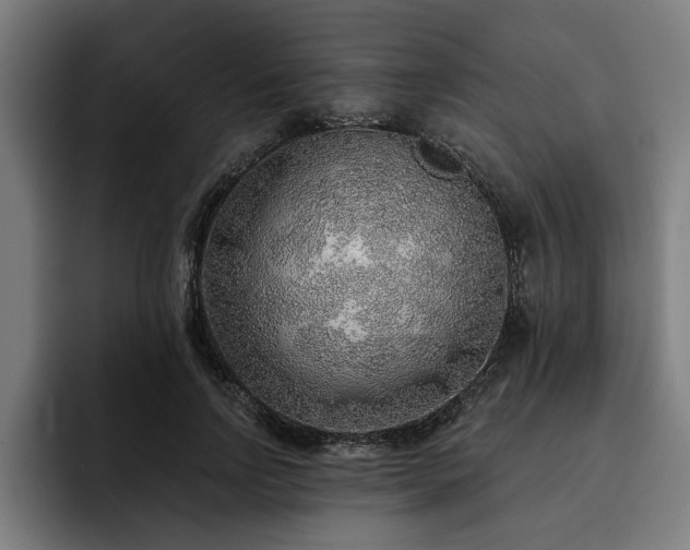 X0000093500742200710121513
