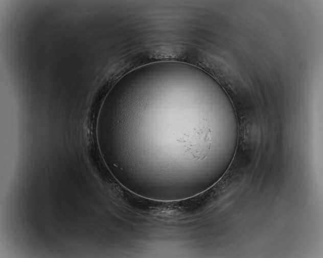 X0000093500743200710121513
