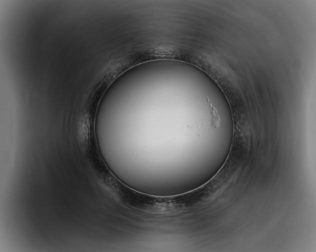 X0000093500744200710121513