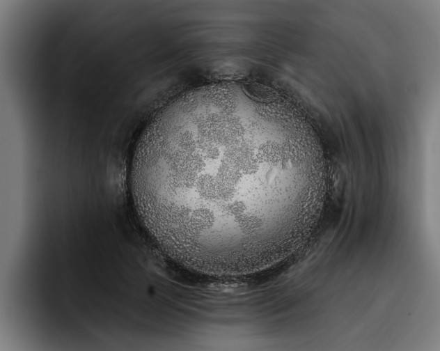 X0000093500745200710121513