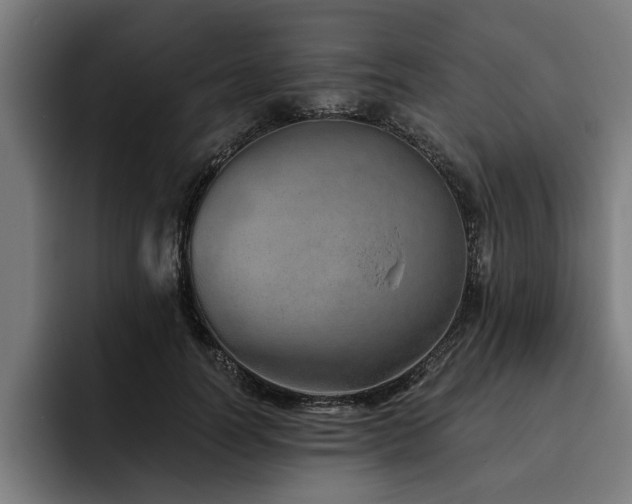 X0000093500746200710121513