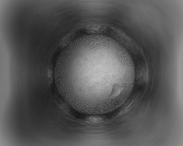 X0000093500749200710121513