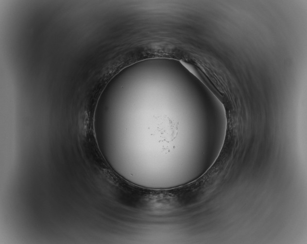 X0000093500752200710121513