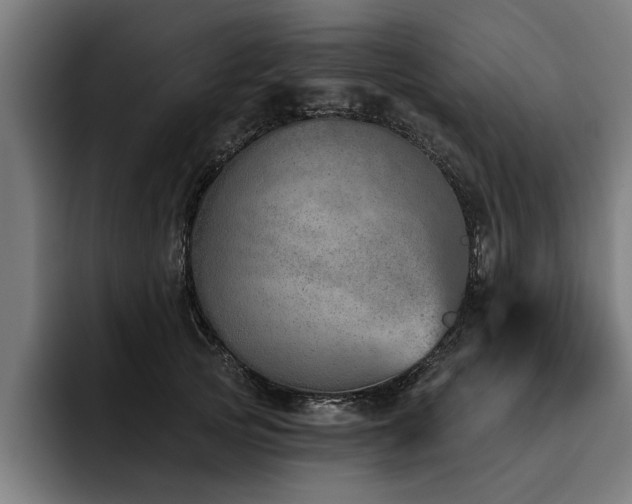 X0000093500753200710121513