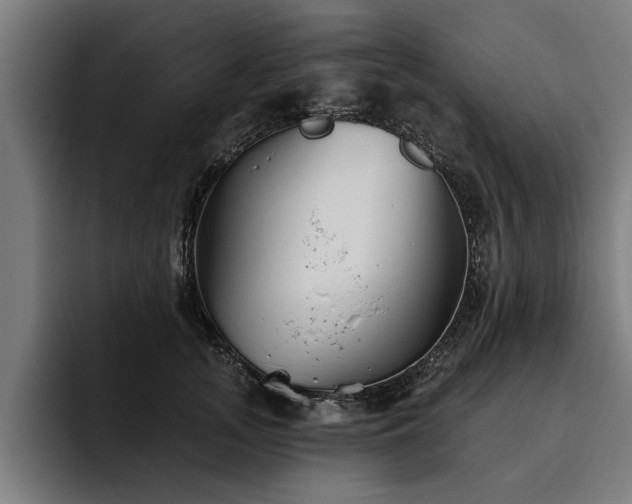 X0000093500755200710121513