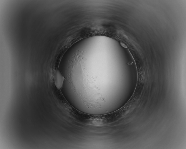 X0000093500756200710121513