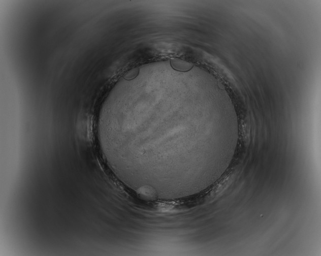 X0000093500757200710121513
