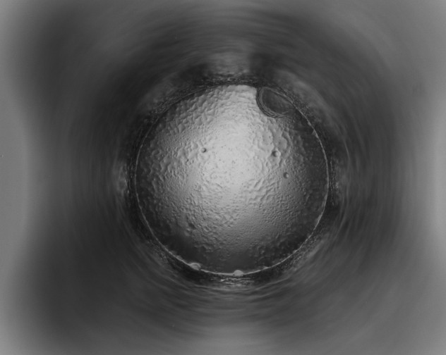 X0000093500758200710121513