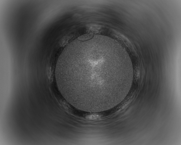X0000093500759200710121513