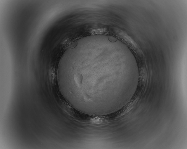 X0000093500761200710121513