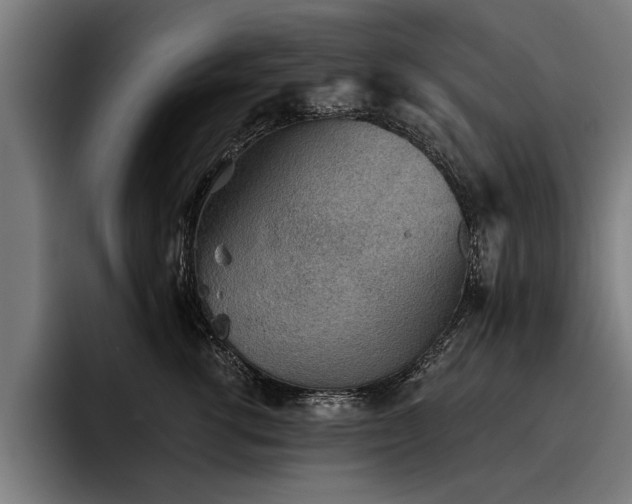 X0000093500762200710121513